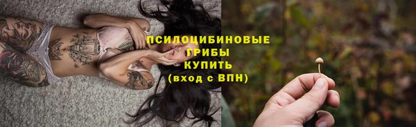 меф Инсар