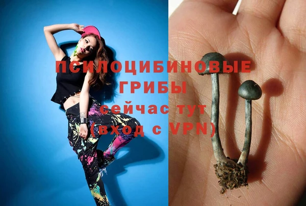 метамфетамин Инта