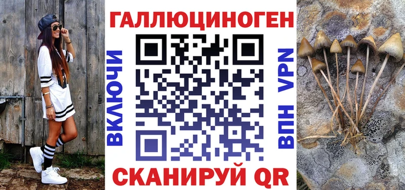 Купить где  Майский  Псилоцибиновые грибы Cubensis 